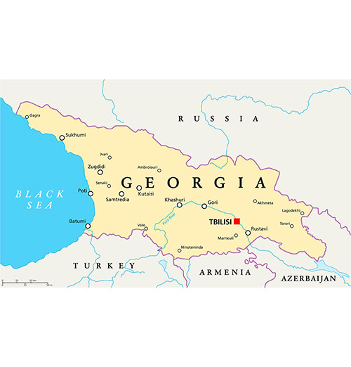 USCPAHA map of Georgia